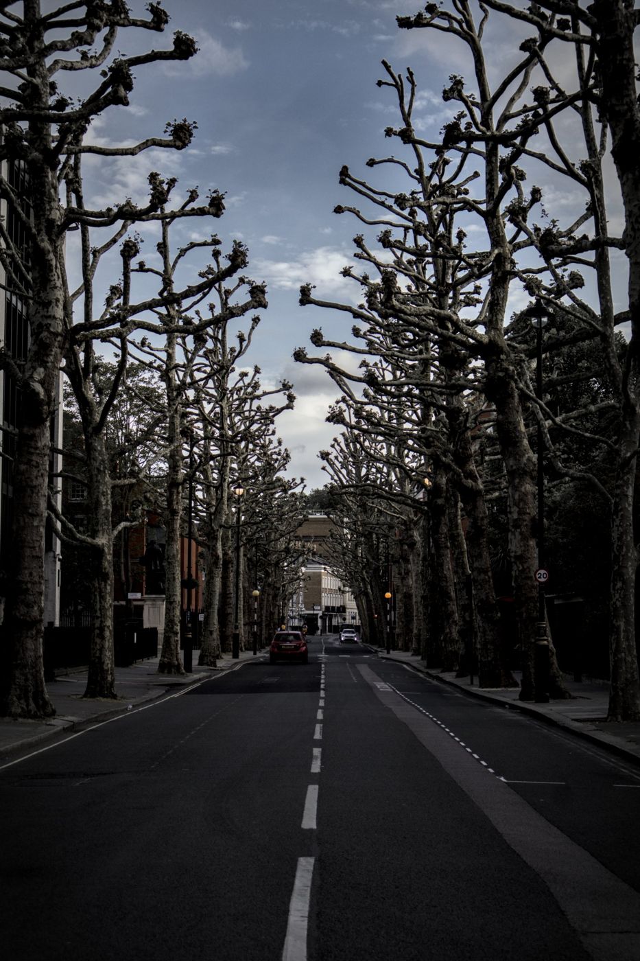 Plane trees